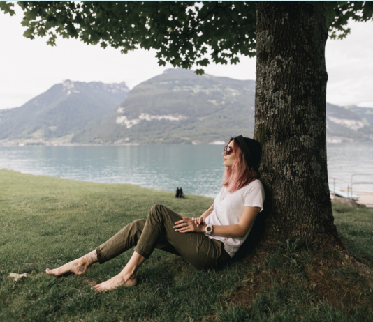 Ocoque Media Commence Tree Servicing & Maintenance Features